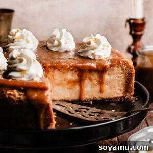 Whimsical Butterbrew Cheesecake 10 The sliced butterbeer cheesecake topped with butterscotch sauce.