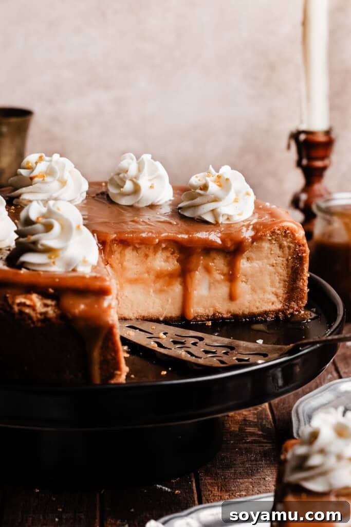 Whip Up 10-Minute Golden Butterscotch 7 The sliced butterbeer cheesecake topped with butterscotch sauce.