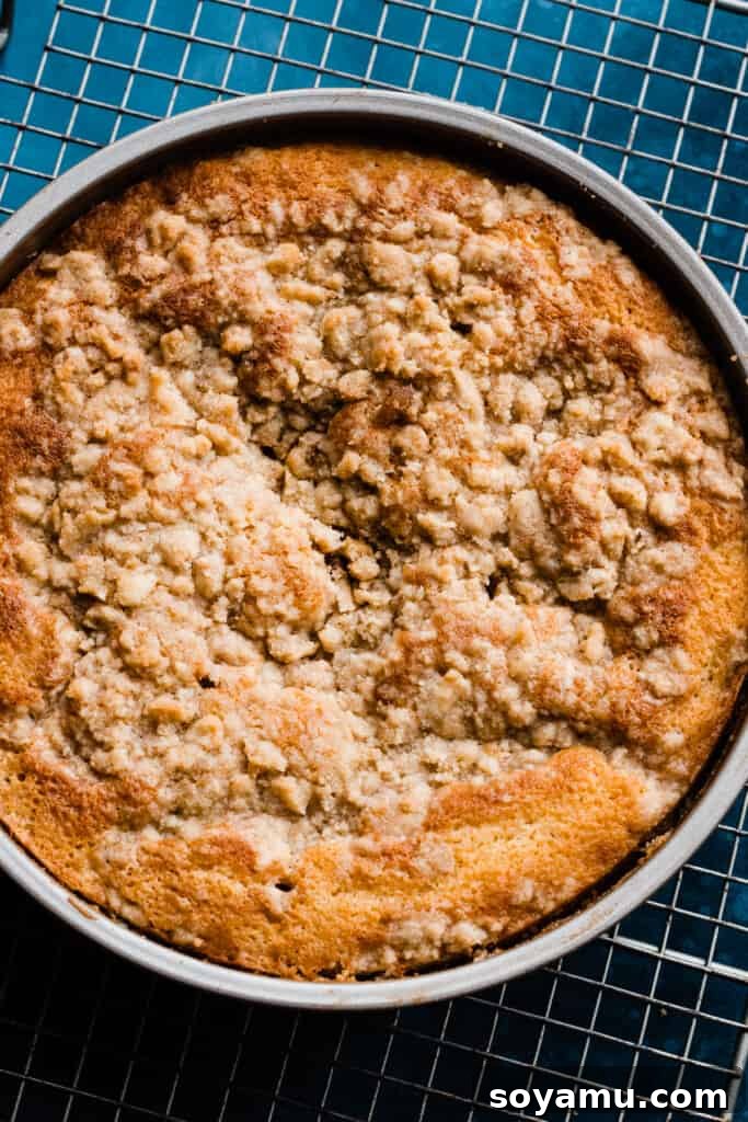 Sticky Apple Caramel Cake 8 The golden-brown baked apple upside down cake, still in its pan, with the edges bubbling from the caramel, a warm autumn delight.