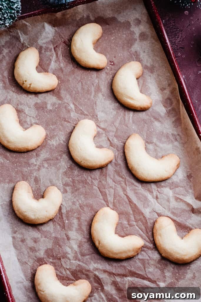 Sweet Almond Moons 7 A baking pan filled with freshly baked Almond Crescents, lightly golden and ready to cool.