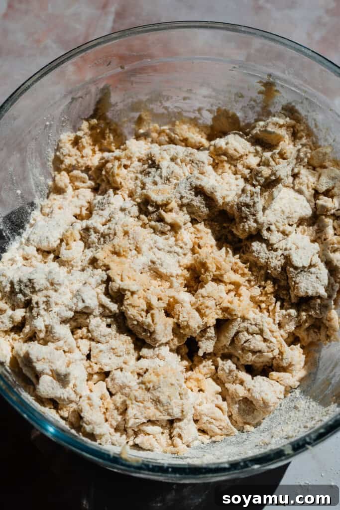 Double Blueberry Scones 5 A close-up of a bowl filled with the scone dough after wet ingredients have been lightly incorporated, showing its desirable 'shaggy' and slightly crumbly texture before adding blueberries. This indicates proper mixing without overworking.