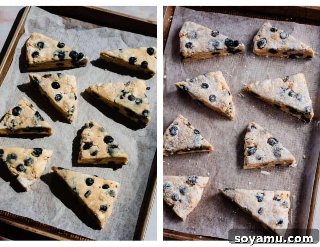 Double Blueberry Scones 7 Eight perfectly sliced triangular blueberry scones arranged neatly on a parchment-lined baking sheet, demonstrating the ideal presentation before they are placed in the freezer for chilling.