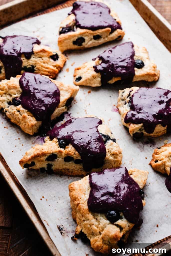Double Blueberry Scones 9 A baking sheet showcasing freshly baked blueberry scones, now generously drizzled with a vibrant purple blueberry glaze, capturing their inviting and delicious appearance.