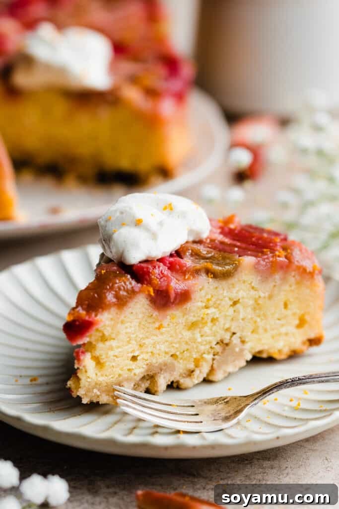 Whip Up Perfect Homemade Cream 12 A slice of rhubarb cake beautifully topped with a rustic dollop of whipped cream.