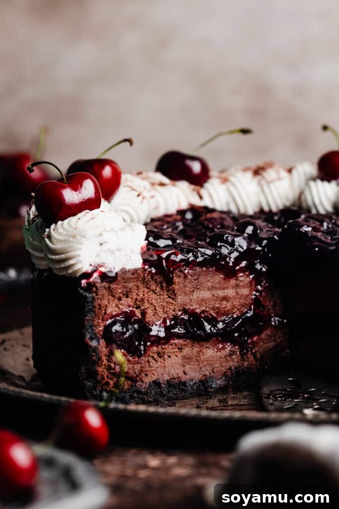 Whip Up Perfect Homemade Cream 13 A black forest cheesecake beautifully adorned with a decorative piped border of whipped cream, showcasing stability.