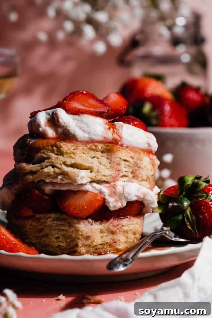Whip Up Perfect Homemade Cream 15 Beautiful strawberry shortcakes topped generously with fresh homemade whipped cream.