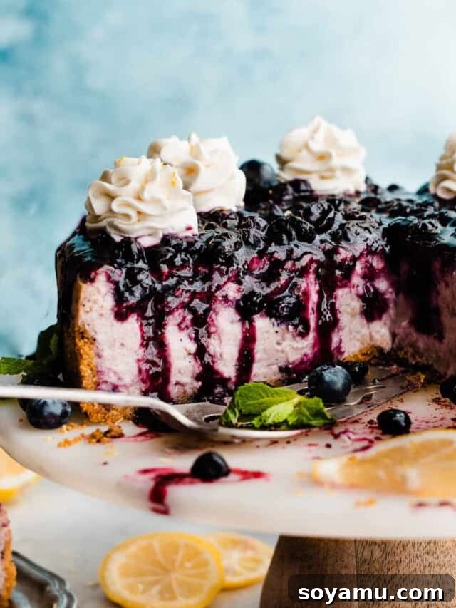 Whip Up Perfect Homemade Cream 3 Whipped cream swirls beautifully piped on top of a vibrant blueberry cheesecake, highlighting its decorative potential.
