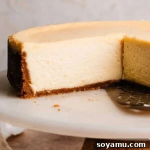 A close-up on a slice of New York Style Cheesecake, showing its incredibly creamy texture, ready for serving.