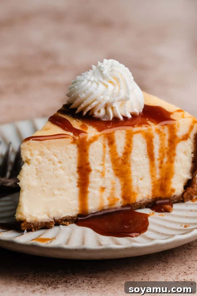 Velvety Rich New York Cheesecake Masterpiece 3 A delectable slice of New York Style Cheesecake on a plate, elegantly topped with golden salted caramel sauce and a dollop of fluffy whipped cream.