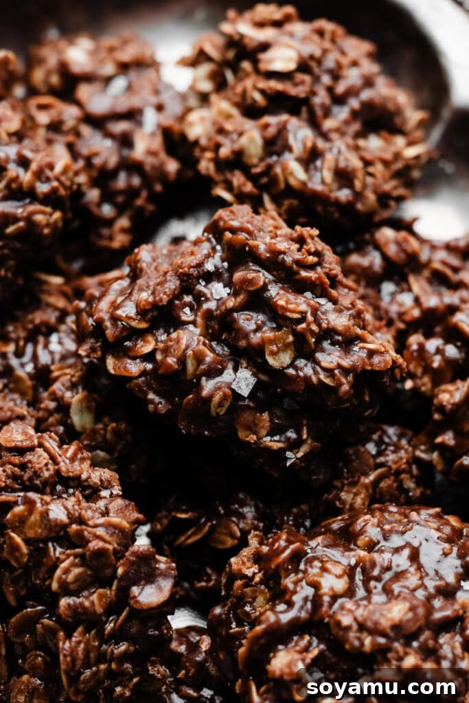 Easy No Bake Peanut Butter Chocolate Treats 7 A close-up of the no bake cookies, topped with flaky sea salt, highlighting their texture and appealing finish.