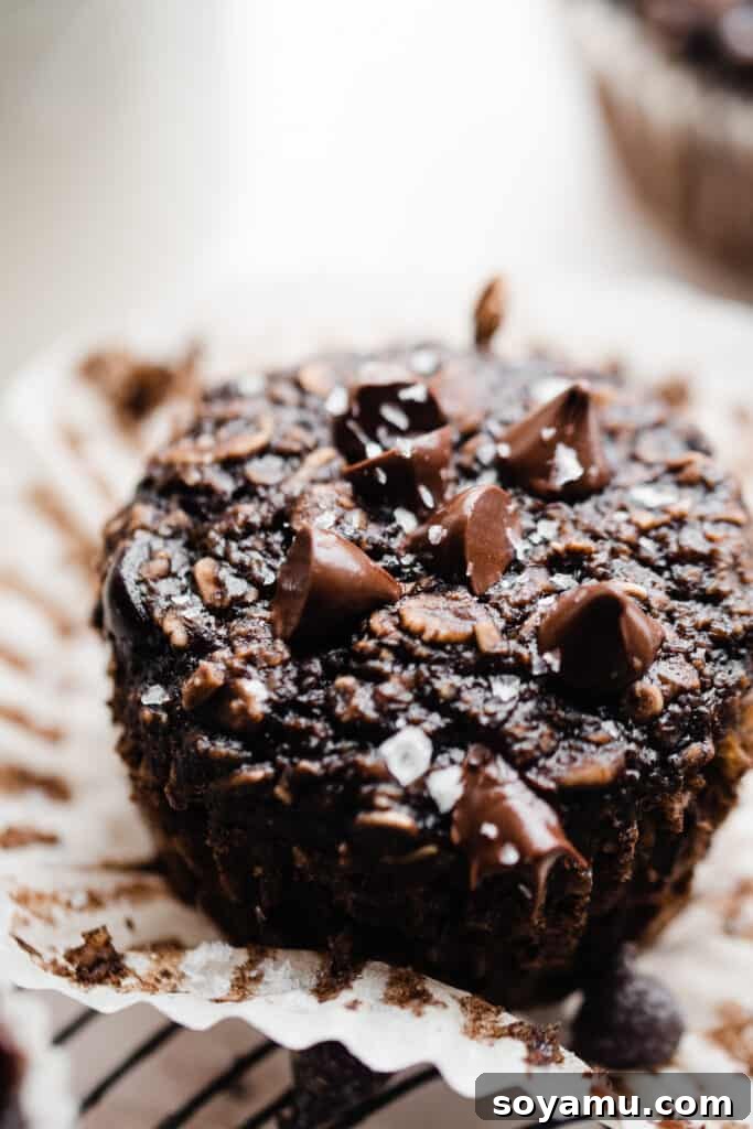 Wholesome Banana Chocolate Oat Muffins 9 Close-up of a single healthy banana chocolate oat muffin, perfectly baked, with visible chocolate chips and a delicate sprinkle of flaky sea salt.