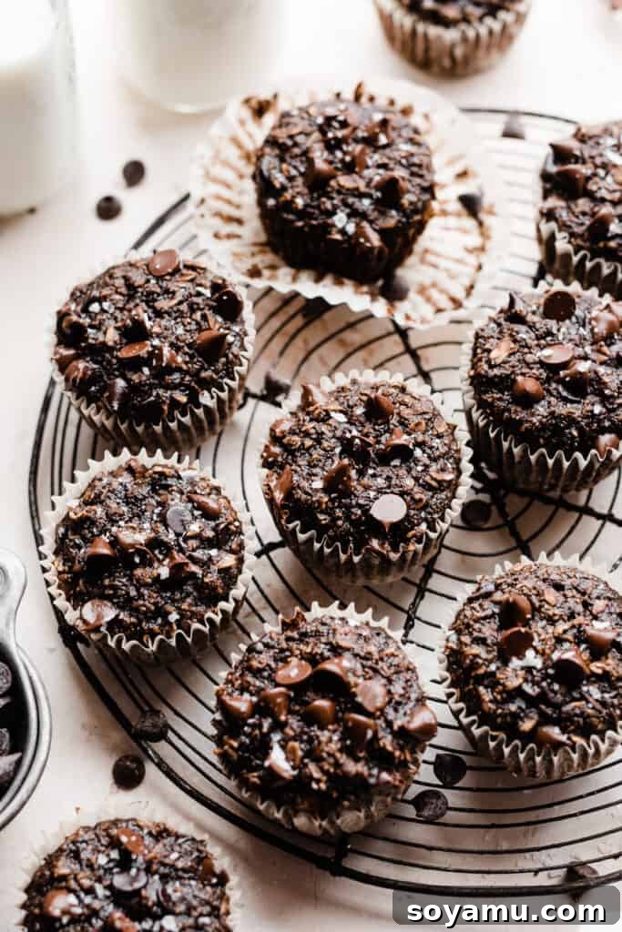 Wholesome Banana Chocolate Oat Muffins 10 A collection of baked banana chocolate oat muffins, some on a wire cooling rack and others scattered around, with loose chocolate chips nearby.