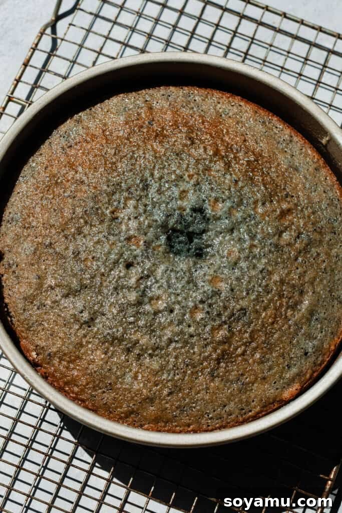Blueberry Bliss Cake 13 A perfectly baked cake layer cooling on a wire rack, golden brown and ready to be frosted.