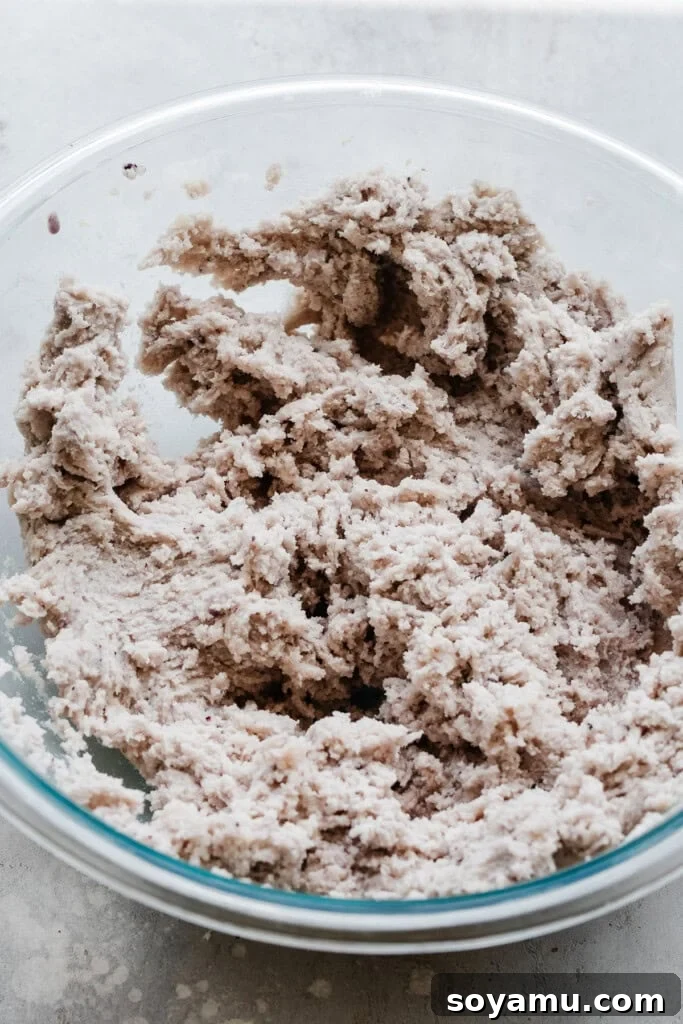 Blueberry Bliss Cake 9 The initial stage of cake batter: dry ingredients combined with butter and oil, forming a thick, cookie-dough-like mixture.