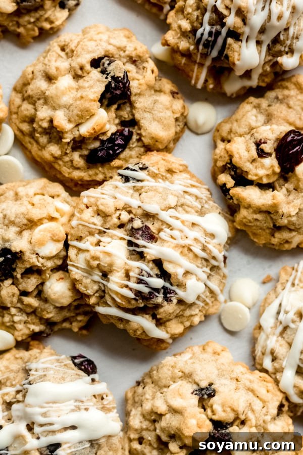 Luscious White Chocolate Cherry Oatmeal Cookies 3 Close-up of baked white chocolate cherry oatmeal cookies, showcasing their chewy texture.
