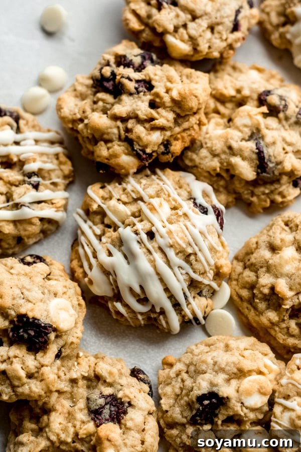 Luscious White Chocolate Cherry Oatmeal Cookies 6 A selection of freshly baked white chocolate cherry oatmeal cookies, ready to be enjoyed.