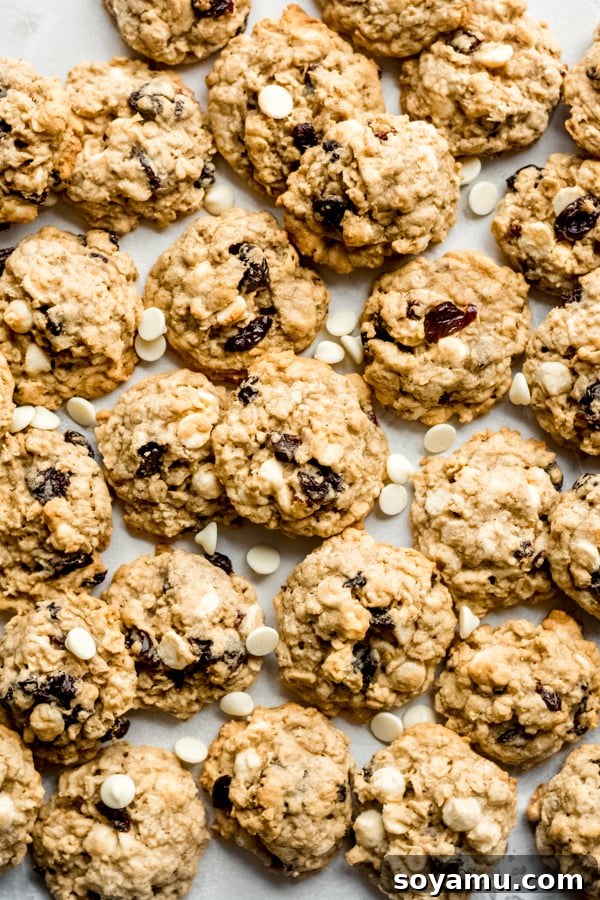 Luscious White Chocolate Cherry Oatmeal Cookies 7 Stack of white chocolate cherry oatmeal cookies, emphasizing their delightful texture and ingredients.