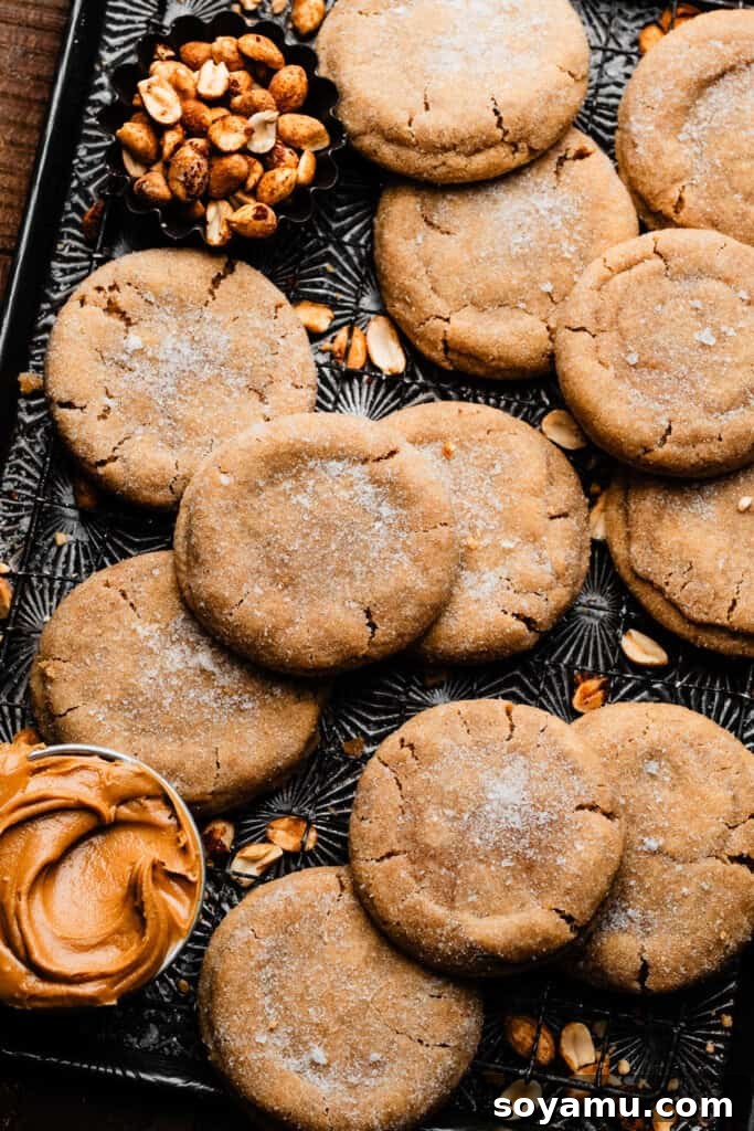 Chill-Free Peanut Butter Cookies 3 Peanut Butter Cookies with crinkly edges, beautifully arranged on a vintage baking sheet with peanuts sprinkled around for garnish.