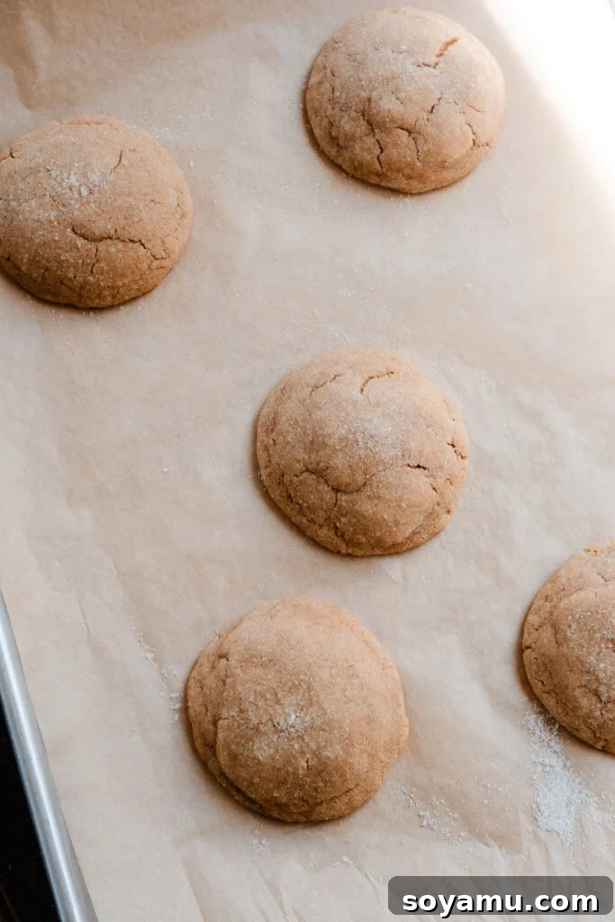 Chill-Free Peanut Butter Cookies 7 Freshly baked, slightly lumpy peanut butter cookies, straight from the oven, before flattening.
