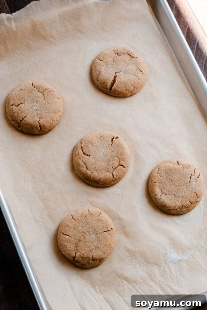 Chill-Free Peanut Butter Cookies 8 Slightly flattened peanut butter cookies, fresh from the oven, achieving a dense and chewy texture.