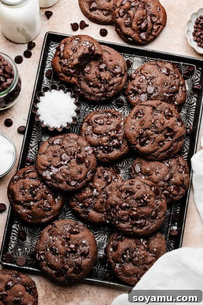 Decadent Double Chocolate Chip Cookies 3 A charming vintage tray brimming with freshly baked double chocolate chip cookies, highlighting their tempting dark color and scattered chocolate chips.
