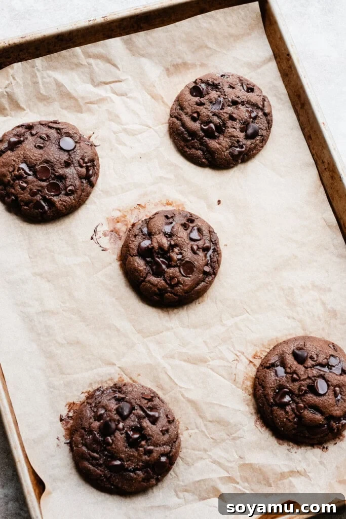 Decadent Double Chocolate Chip Cookies 7 A fresh batch of baked double chocolate chip cookies cooling on a baking sheet, showcasing their rich color and slightly melted chocolate chips.