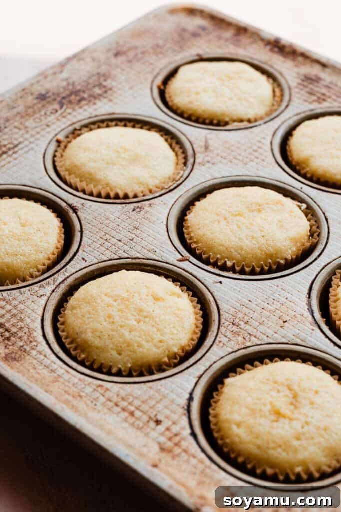 Freshly baked vanilla cupcakes, risen perfectly in their liners, still resting in the cupcake pan after being removed from the oven.