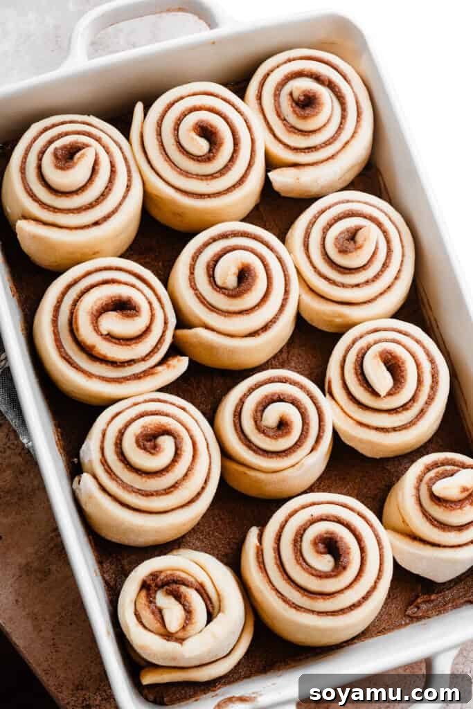 A pan of cinnamon rolls after their final rise, looking plump and ready for baking.