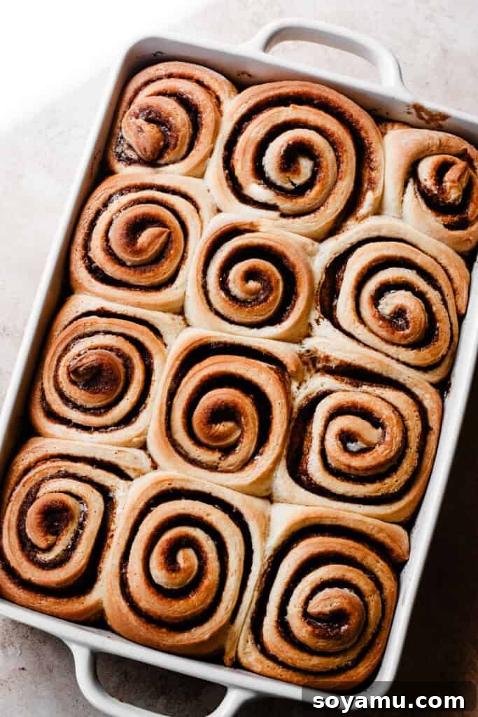 The beautifully golden brown and perfectly baked cinnamon rolls, fresh out of the oven.