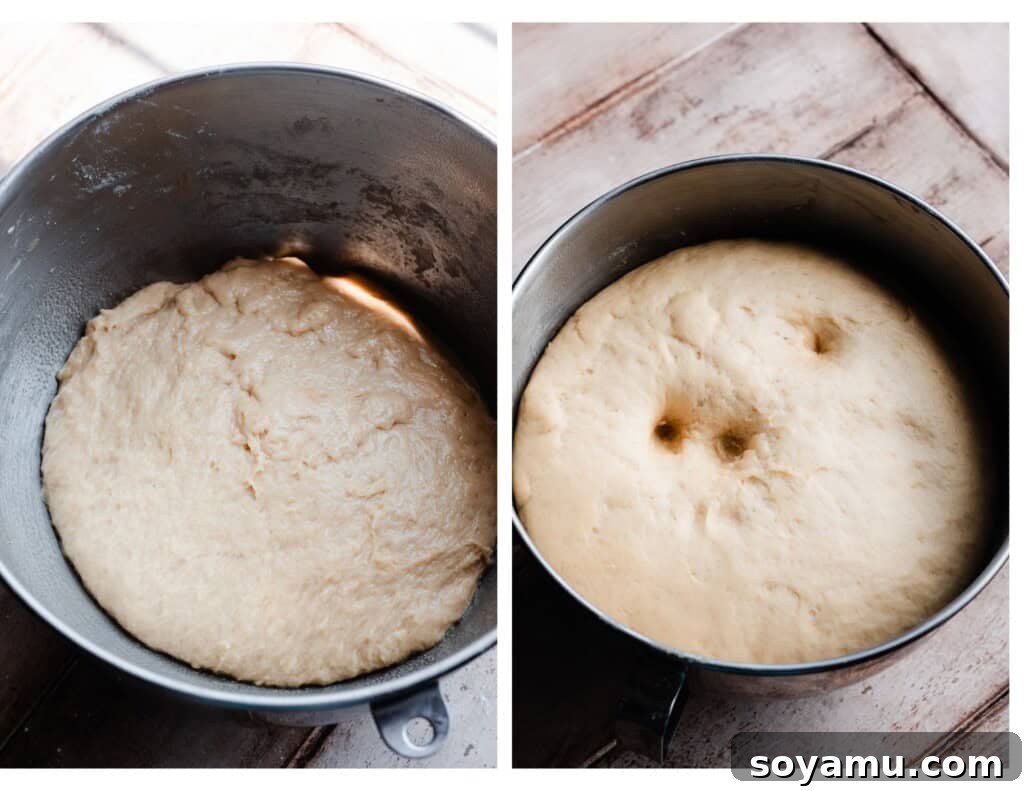 Two side-by-side images showing the cinnamon roll dough, before and after its initial rise, demonstrating its increased volume.