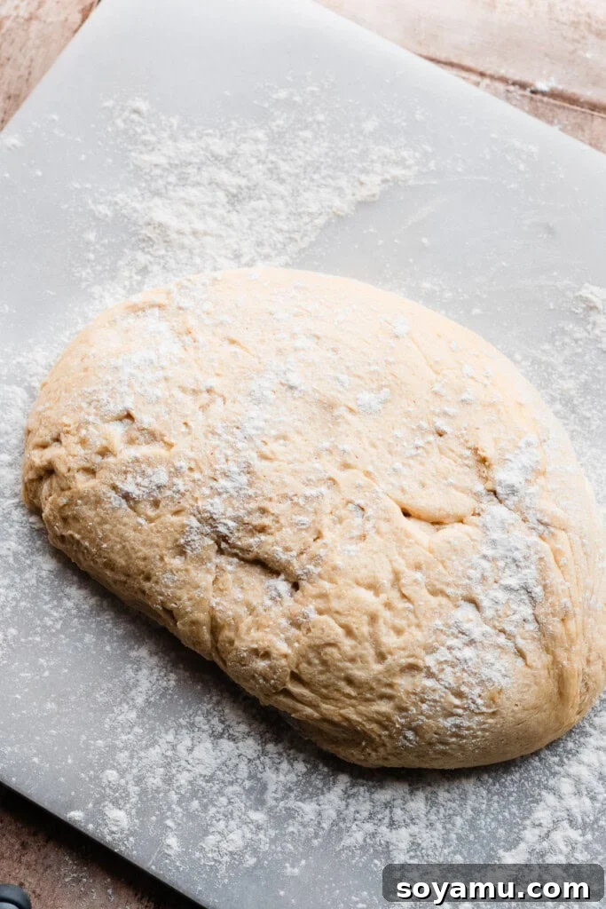 The perfectly risen dough, lightly floured and ready to be rolled out on a clean surface.