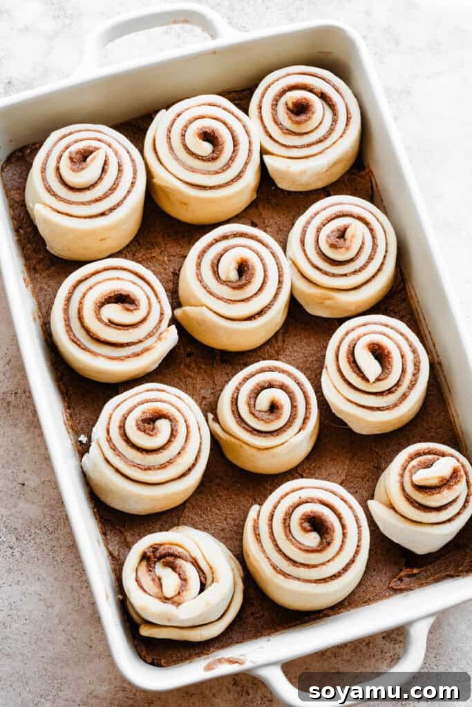 A baking pan filled with freshly assembled cinnamon rolls, arranged neatly before their final rise.