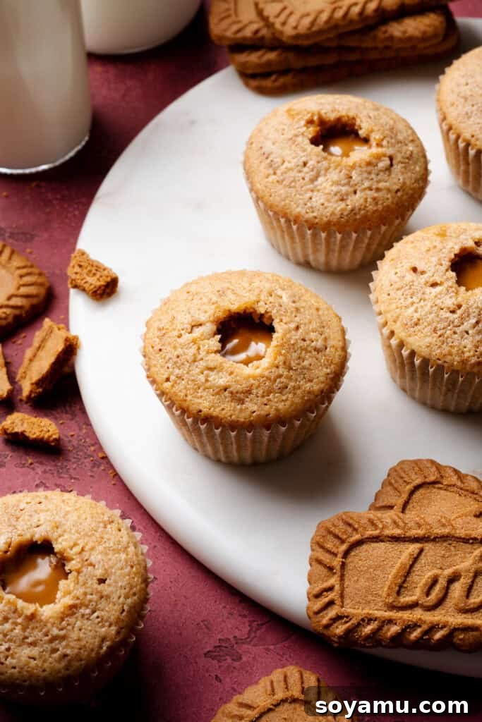 Biscoff Overload Cupcakes 11 Cupcakes filled with biscoff cookie butter.