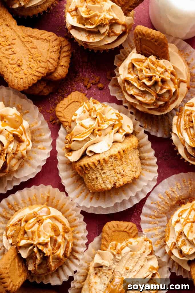 Biscoff Overload Cupcakes 13 Biscoff Cupcakes on a dark red background.