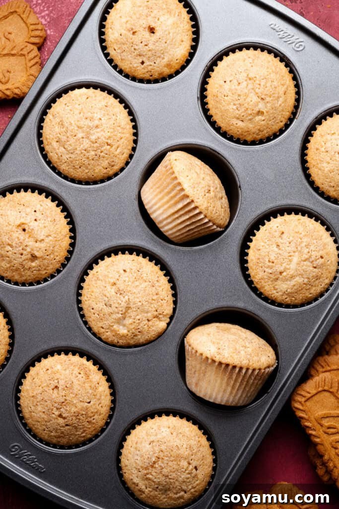 Biscoff Overload Cupcakes 10 The baked cupcakes in the pan.