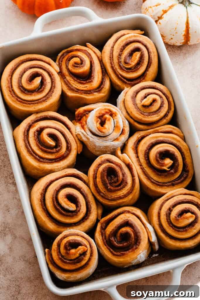 Assembled pumpkin cinnamon rolls placed snugly in a baking dish, awaiting their final rise.