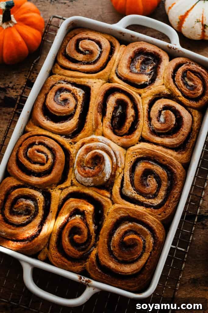 The baked pumpkin cinnamon rolls in a pan, golden brown and perfectly puffed.