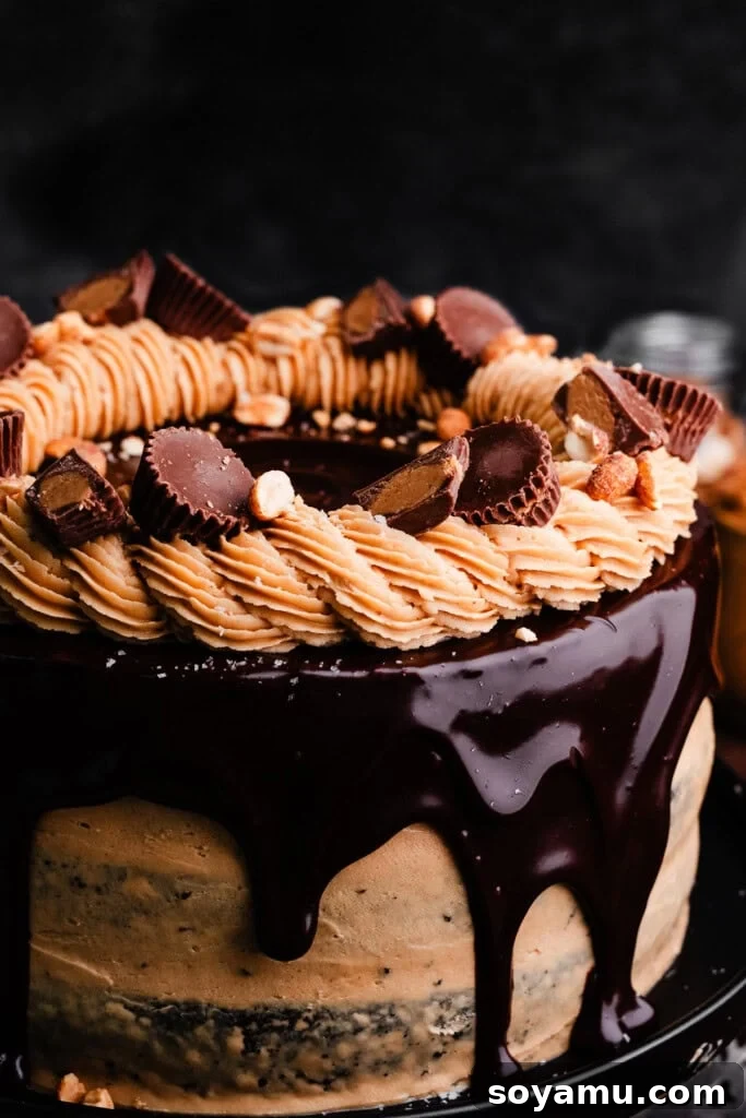 Decadent Peanut Butter Frosting Ready in 10 3 A beautifully frosted three-layer chocolate cake, generously covered in rich peanut butter frosting.