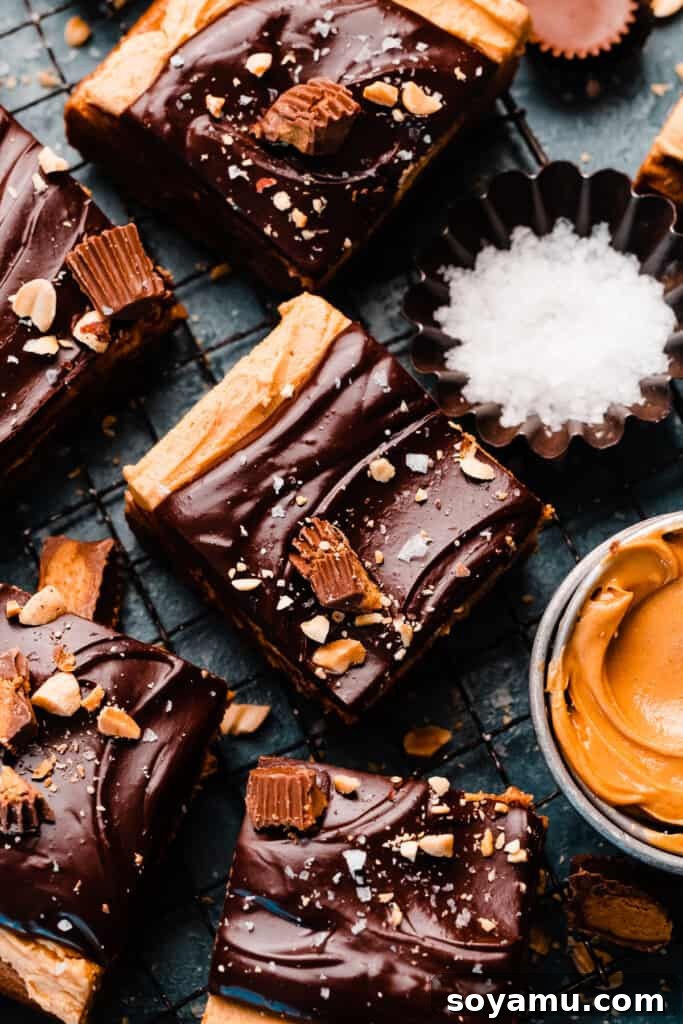 Decadent Peanut Butter Frosting Ready in 10 10 Blondies generously frosted with smooth peanut butter frosting and drizzled with rich chocolate ganache.