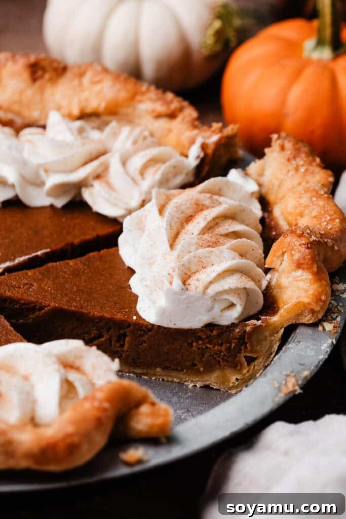 Autumn's Best Pumpkin Pie 10 A close-up of a single slice of Perfect Pumpkin Pie still in the pie plate, showing its inviting texture and ideal consistency.