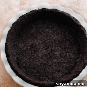 Simple Two Ingredient Oreo Dessert Crust 11 A baked Oreo crust in a 9-inch pie dish, golden brown and perfectly set, ready for any delicious filling.