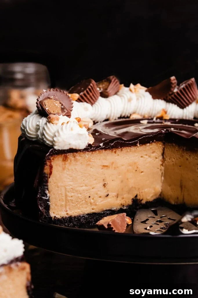Simple Two Ingredient Oreo Dessert Crust 3 A close-up view of a perfectly sliced peanut butter cheesecake, featuring a dark Oreo crust, topped with smooth ganache and light peanut butter whipped cream. The layers are distinct and inviting.