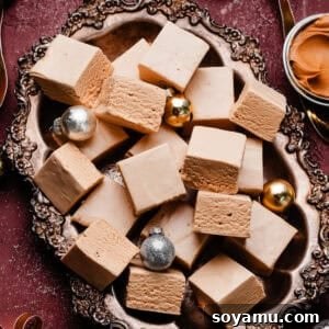 Slices of peanut butter fudge in a vintage metal tray on a burgundy backdrop.