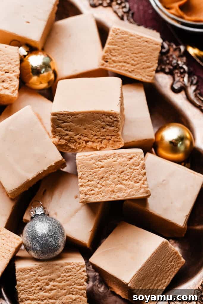 A close-up view of perfectly cut slices of rich peanut butter fudge arranged neatly in a vintage metal serving tray, ready for enjoyment.