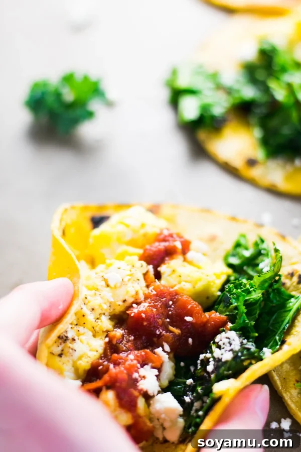 Breakfast taco filled with eggs, kale, and cheese.