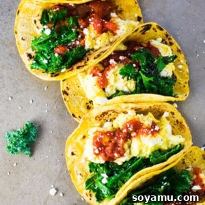 Quick Breakfast Tacos