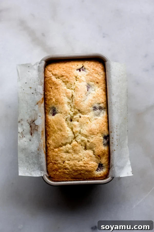 One Bowl Raspberry Lemon Bread - This quick bread is filled with spring flavor in the form of raspberries and lemon, it requires only one bowl and can be dressed up with a 2-ingredient glaze. It's flavorful, moist, and is begging to be baked immediately! #raspberrylemon #onebowlrecipe #quickbread #lemonbread #poundcake #lemoncake #springrecipes #springdesserts #dessertrecipes #bluebowlrecipes | bluebowlrecipes.com Freshly baked raspberry lemon bread still in its bread tin, golden brown and inviting.