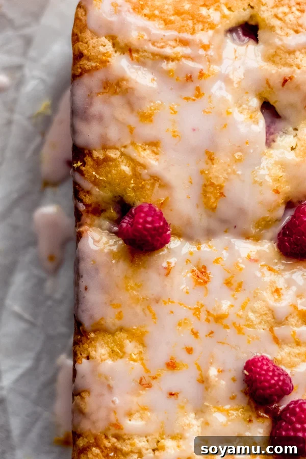 One Bowl Raspberry Lemon Bread - This quick bread is filled with spring flavor in the form of raspberries and lemon, it requires only one bowl and can be dressed up with a 2-ingredient glaze. It's flavorful, moist, and is begging to be baked immediately! #raspberrylemon #onebowlrecipe #quickbread #lemonbread #poundcake #lemoncake #springrecipes #springdesserts #dessertrecipes #bluebowlrecipes | bluebowlrecipes.com A close-up view of a sliced piece of raspberry lemon bread, showing the moist interior and vibrant raspberries.