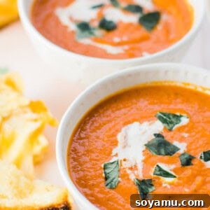Grilled Cheese and Tomato Soup