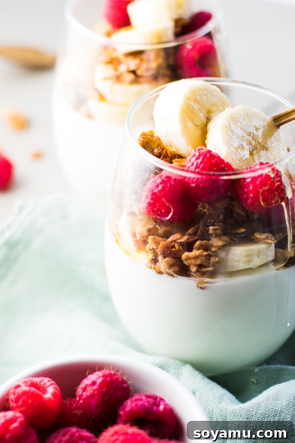 Easy 5-Minute Layers of Honey Granola and Fruit 7 Final shot of a delicious 5-minute breakfast parfait